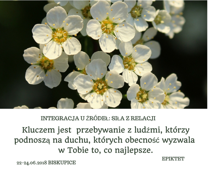 sila-relacji-kwiatki
